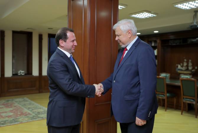 Министр обороны Армении принял личного представителя действующего председателя ОБСЕ