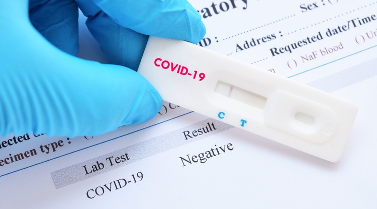Полгода пандемии новой коронавирусной инфекции COVID-19